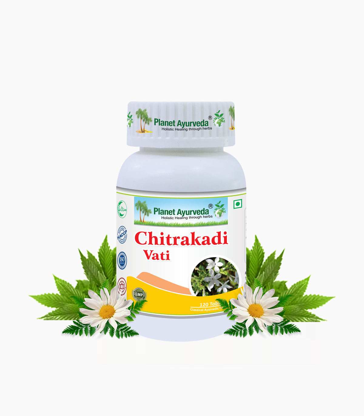 Chitrakadi Vati Bottle of 120 Tablet