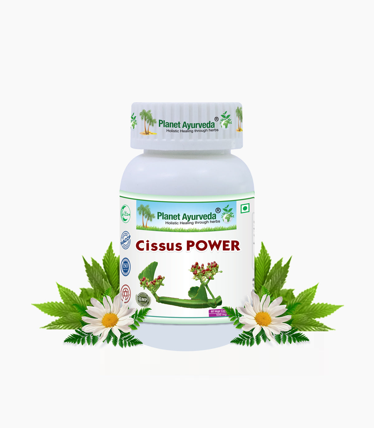 Cissus Power Capsules Bottle of 60 QTY