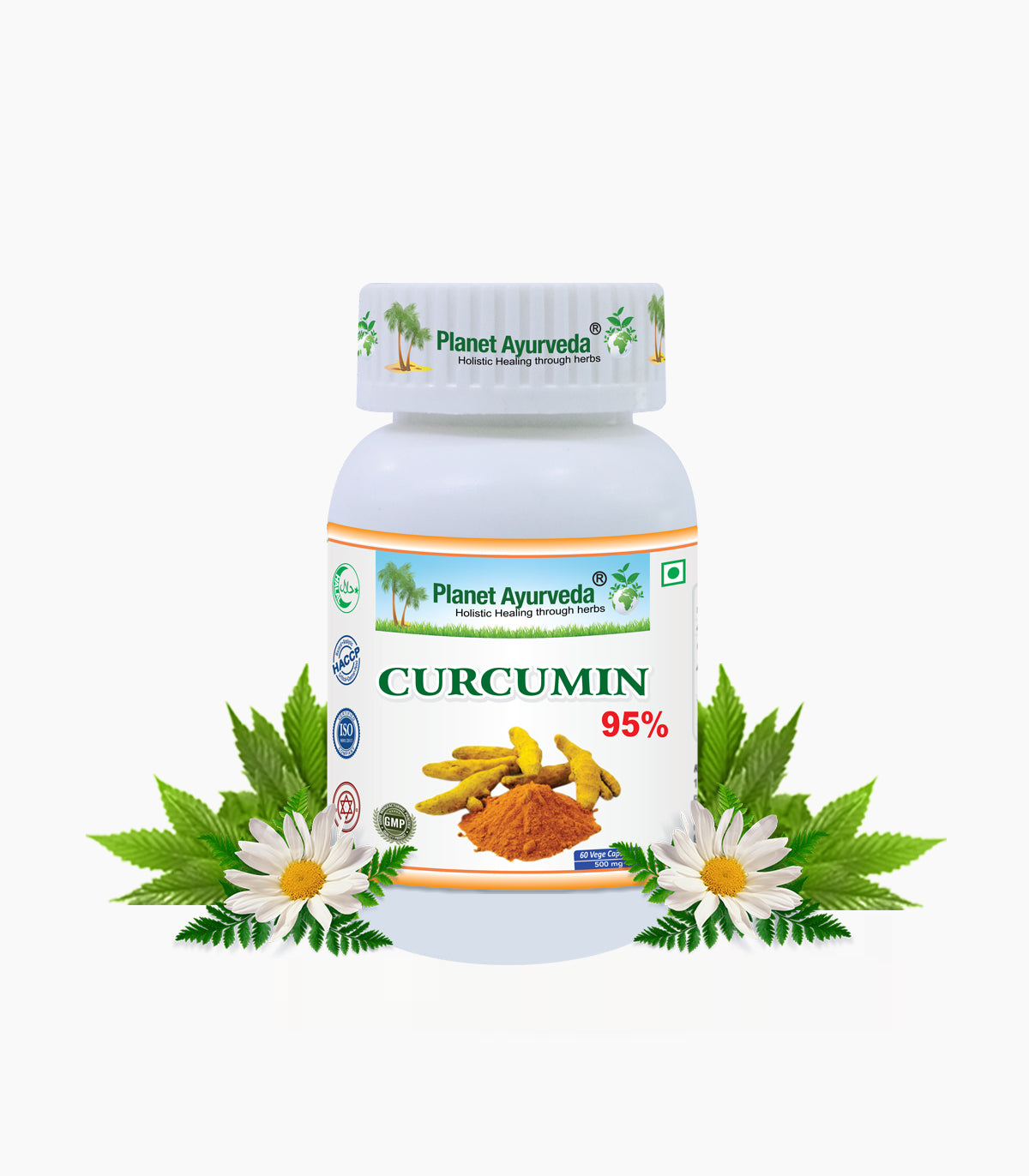 Curcumin 95 percent  Capsules Bottle of 60 QTY