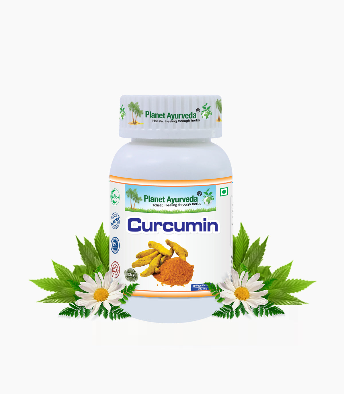 Curcumin Capsules Bottle of 60 QTY