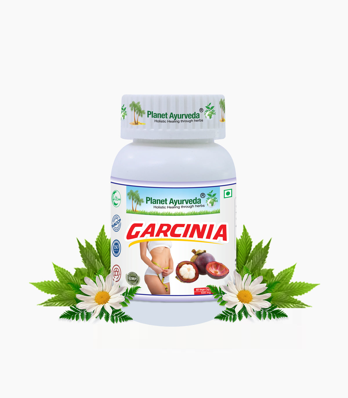 Garcinia Capsules Bottle of 60 QTY