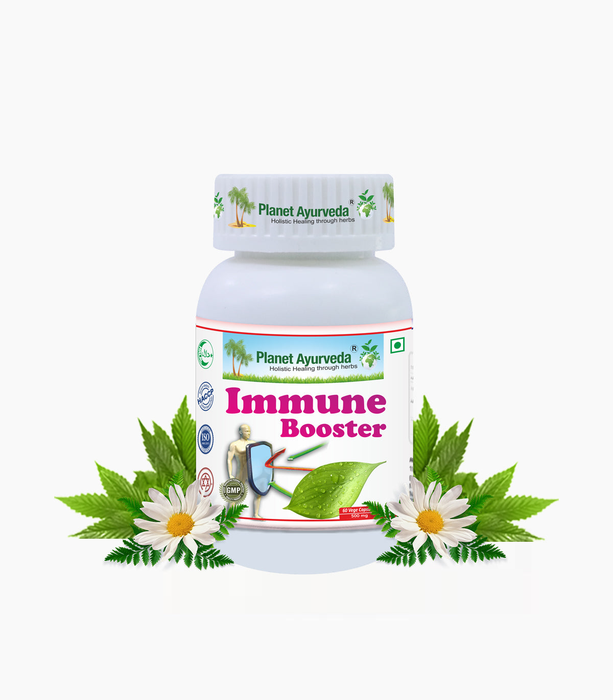 Immune Booster Capsules Bottle of 60 QTY