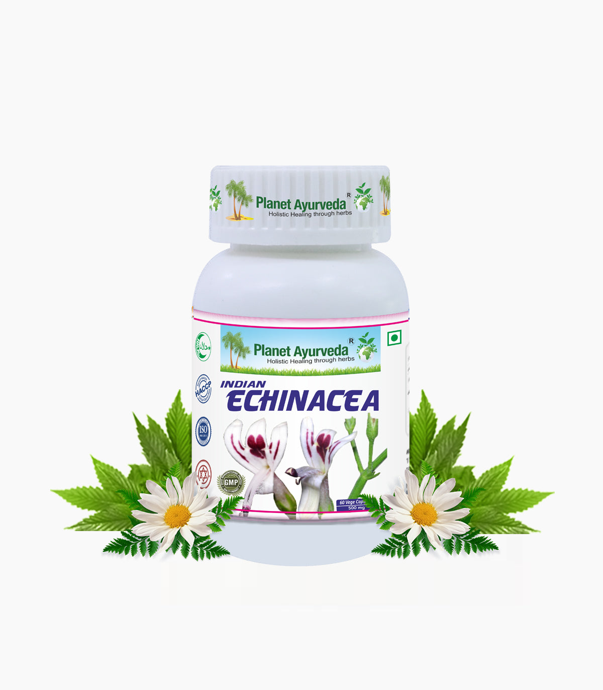 India Echinacea Bottle of 60 QTY