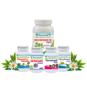 REVIVE KIDNEYS PACK (RKP) [ID-182]
