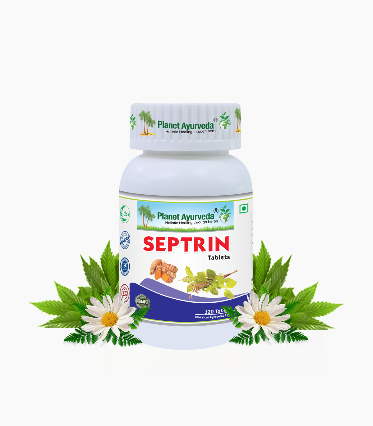 Septrin Tablet Bottle of 120 Tablet